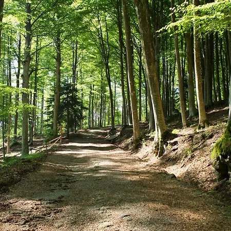 4 Pasqua In Accogliente Rifugio Di Montagna Con Internet Privato E Parcheggio Gratuito - Nuova Gestione *