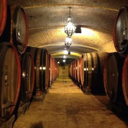 4 Pasqua In Accogliente Rifugio Di Montagna Con Internet Privato E Parcheggio Gratuito - Nuova Gestione * Castel del Piano (Tuscany)
